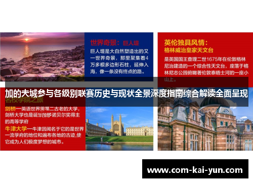 加的夫城参与各级别联赛历史与现状全景深度指南综合解读全面呈现 加的夫城参与各级别联赛历史与现状全景深度指南综合解读全面呈现