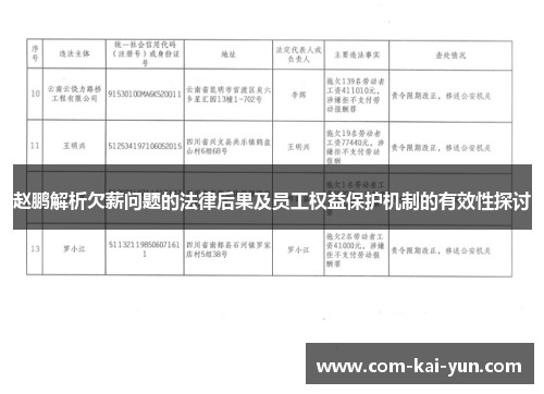 赵鹏解析欠薪问题的法律后果及员工权益保护机制的有效性探讨